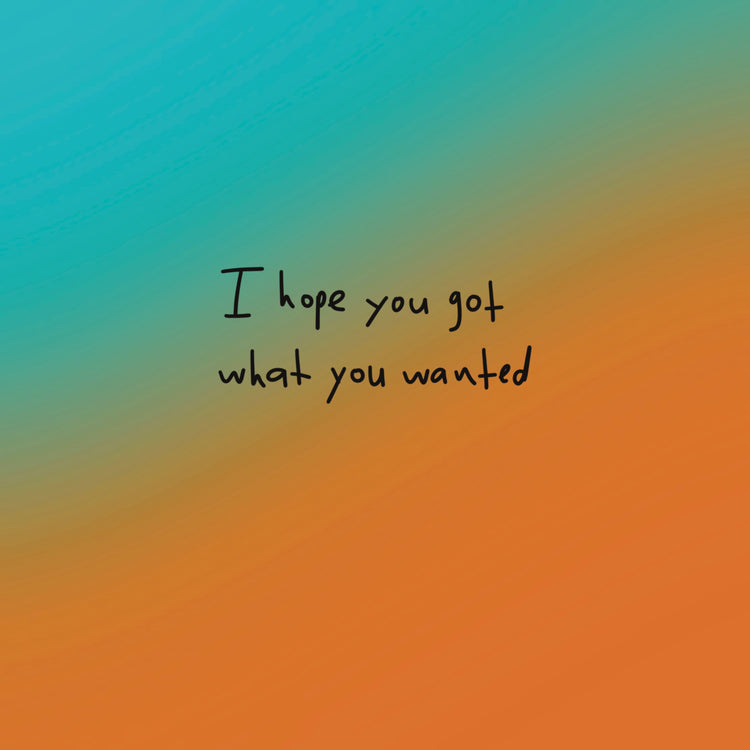I Hope You Got What You Wanted Vinyl